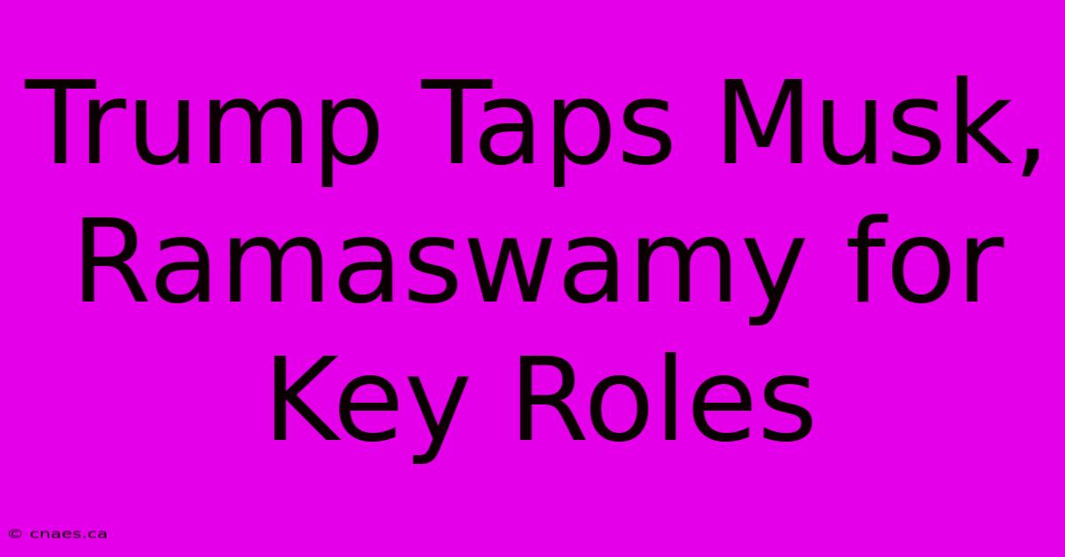 Trump Taps Musk, Ramaswamy For Key Roles