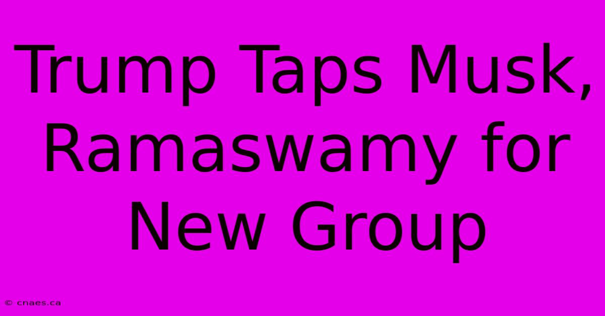 Trump Taps Musk, Ramaswamy For New Group