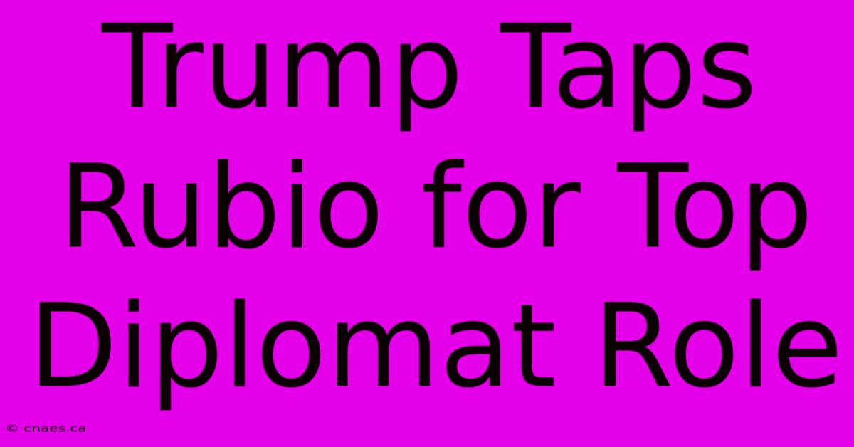 Trump Taps Rubio For Top Diplomat Role