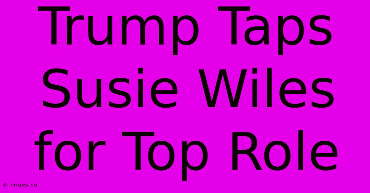 Trump Taps Susie Wiles For Top Role