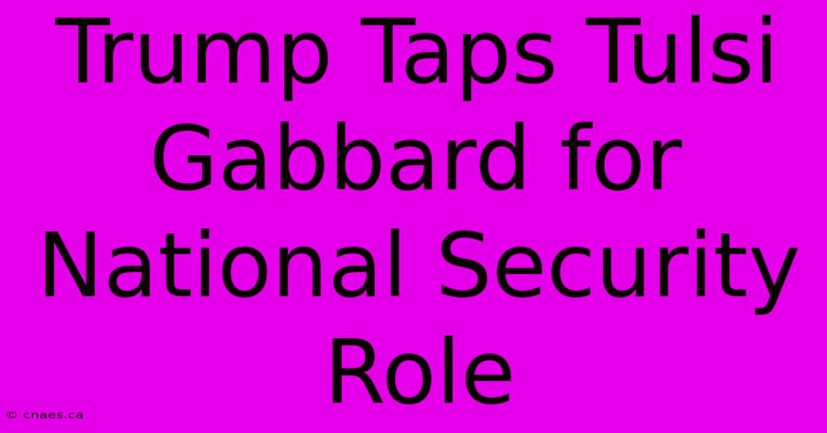 Trump Taps Tulsi Gabbard For National Security Role