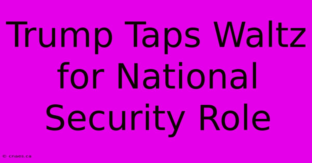 Trump Taps Waltz For National Security Role