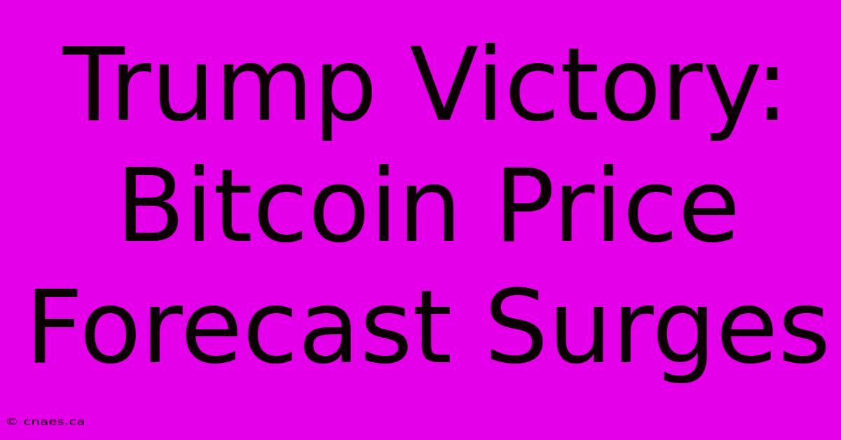 Trump Victory: Bitcoin Price Forecast Surges 