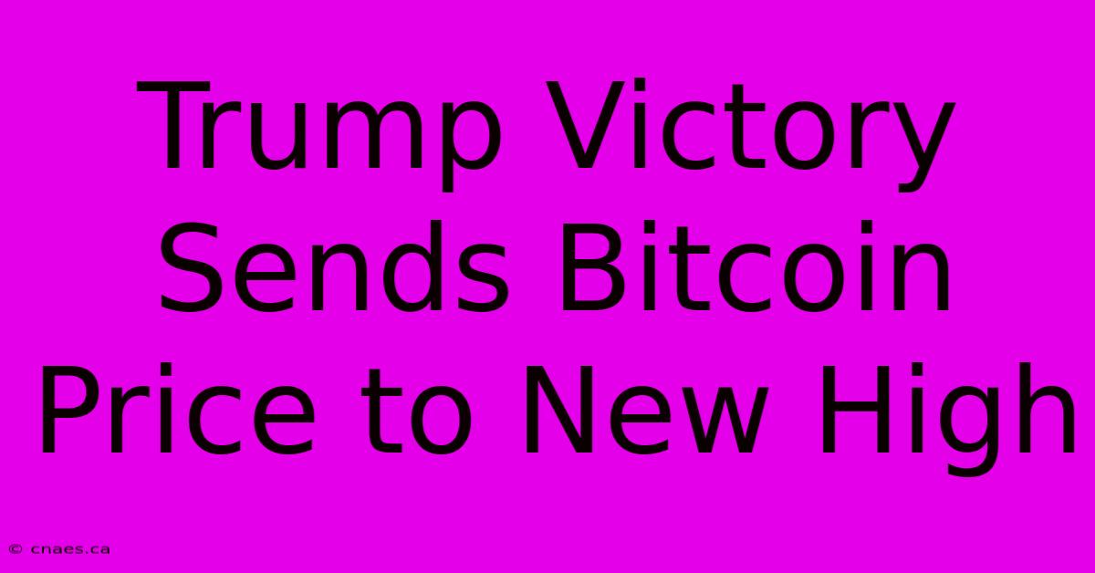 Trump Victory Sends Bitcoin Price To New High 