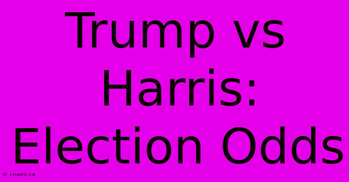 Trump Vs Harris: Election Odds