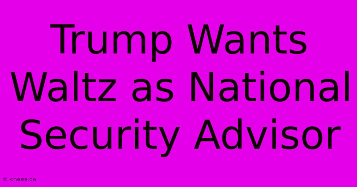 Trump Wants Waltz As National Security Advisor