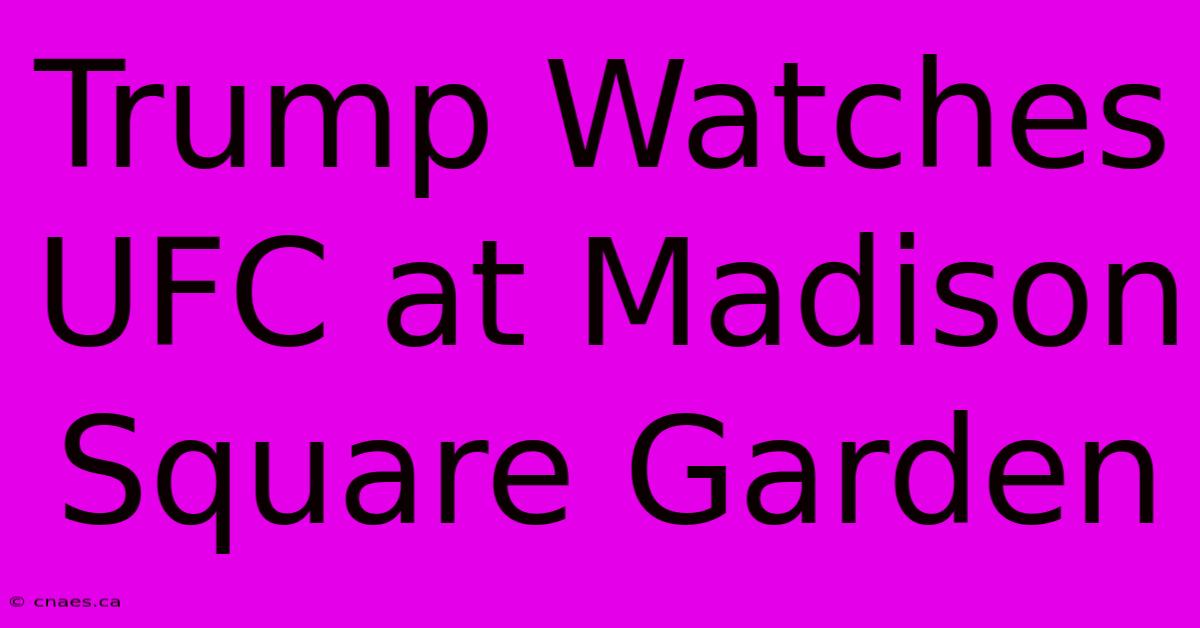 Trump Watches UFC At Madison Square Garden