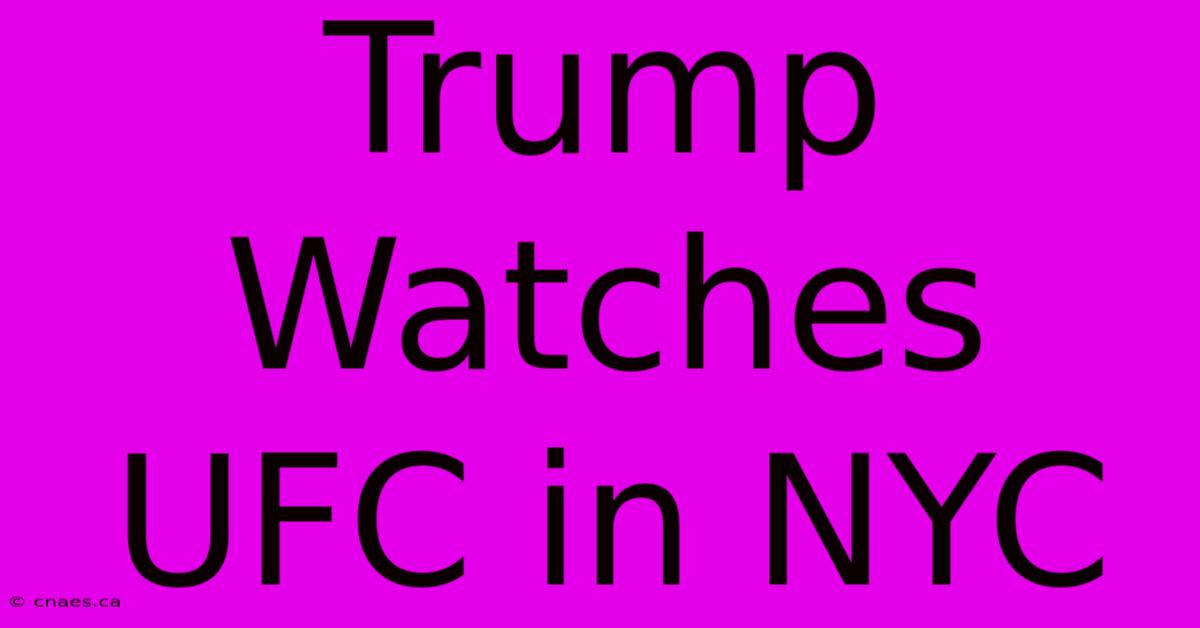 Trump Watches UFC In NYC