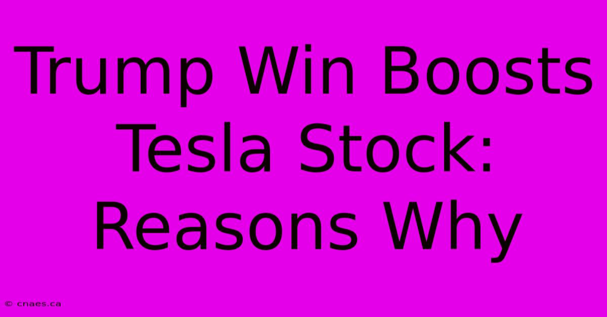 Trump Win Boosts Tesla Stock: Reasons Why