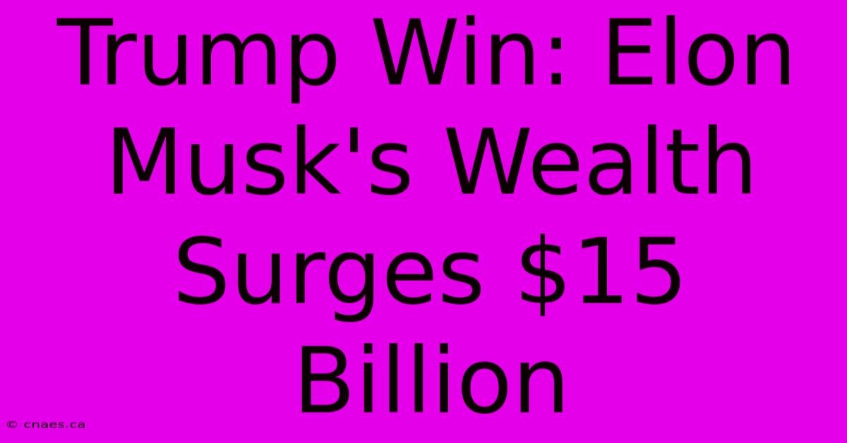 Trump Win: Elon Musk's Wealth Surges $15 Billion