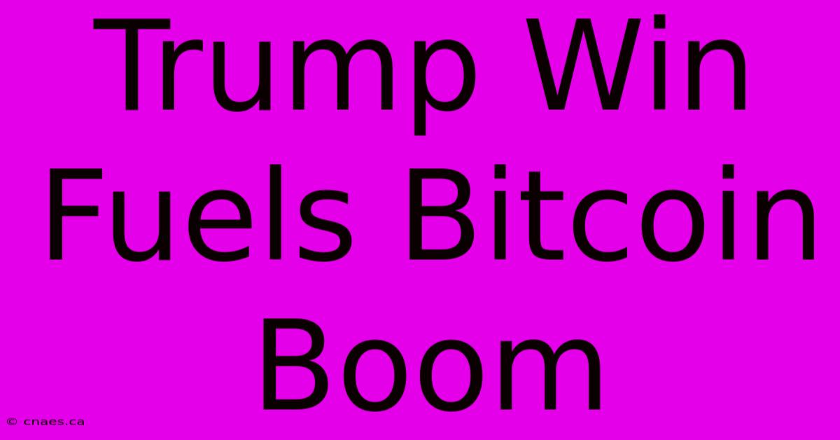 Trump Win Fuels Bitcoin Boom