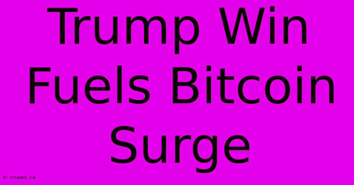 Trump Win Fuels Bitcoin Surge