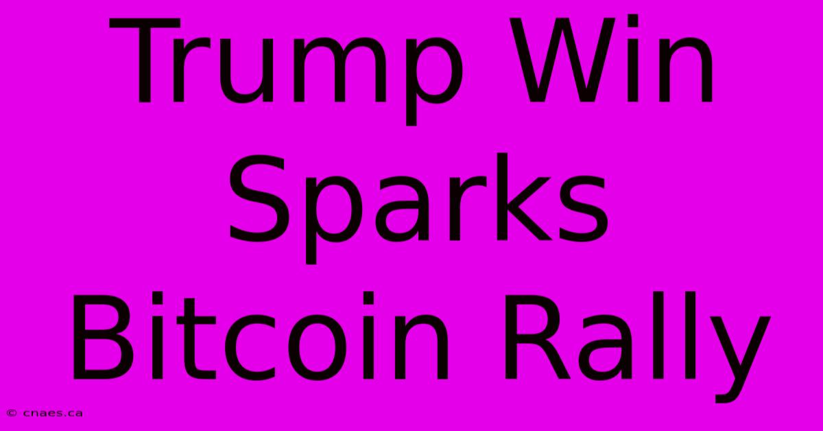 Trump Win Sparks Bitcoin Rally