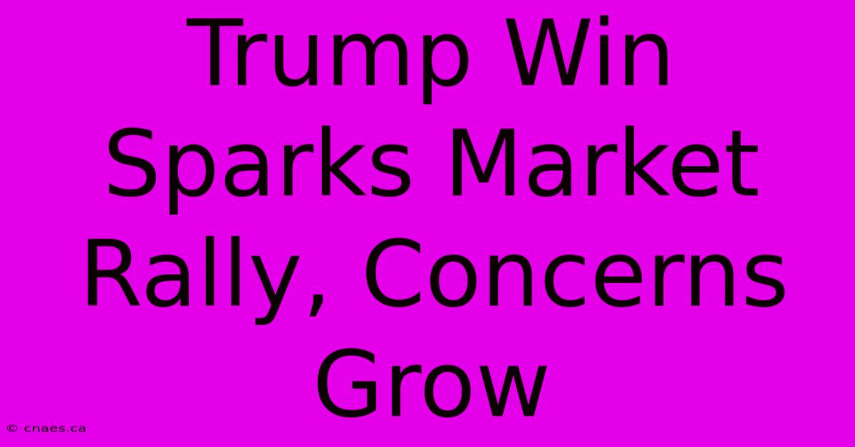 Trump Win Sparks Market Rally, Concerns Grow