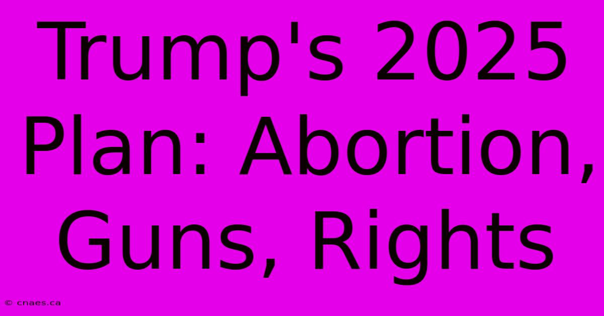 Trump's 2025 Plan: Abortion, Guns, Rights 