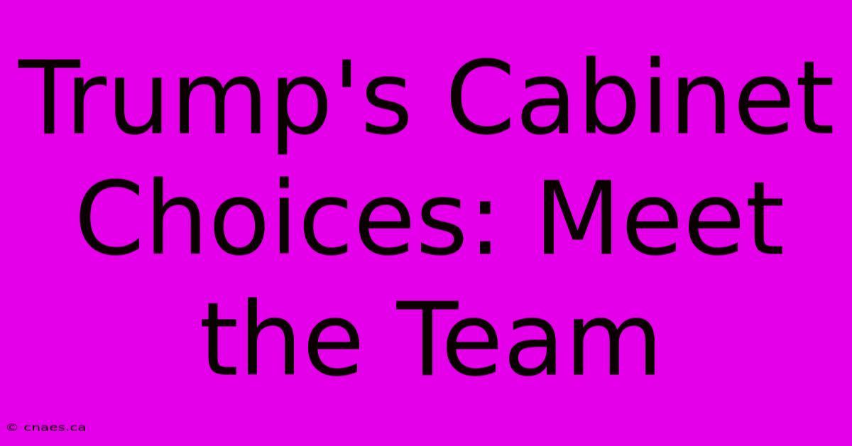 Trump's Cabinet Choices: Meet The Team