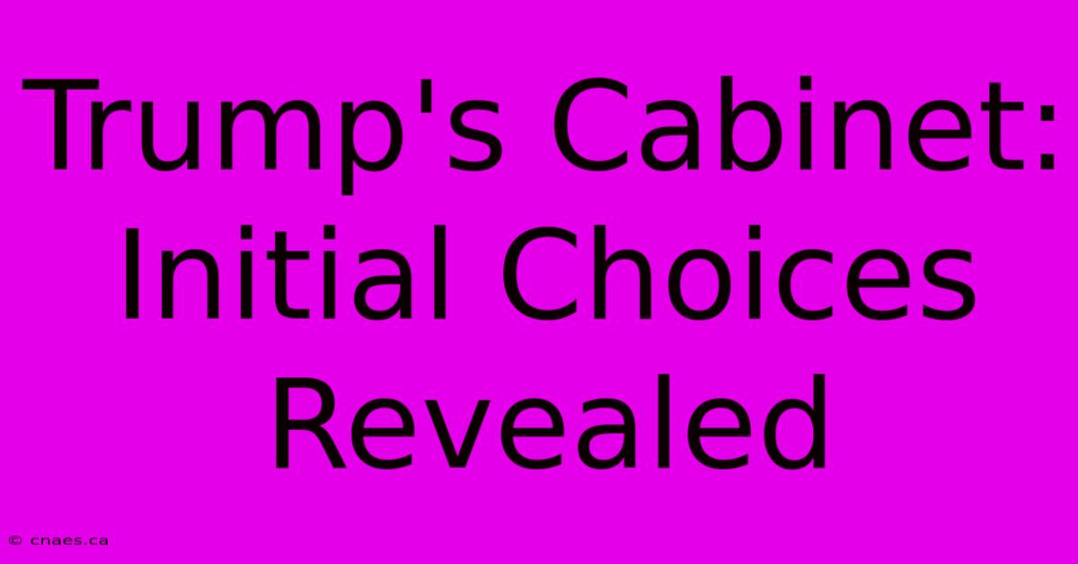 Trump's Cabinet: Initial Choices Revealed 