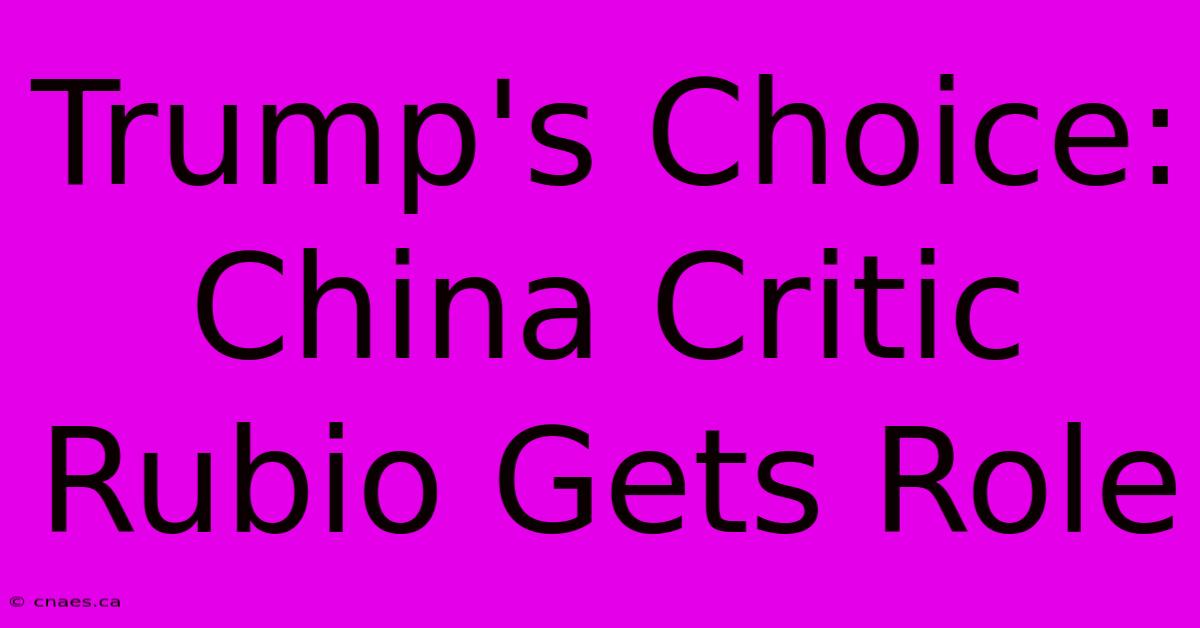 Trump's Choice: China Critic Rubio Gets Role 