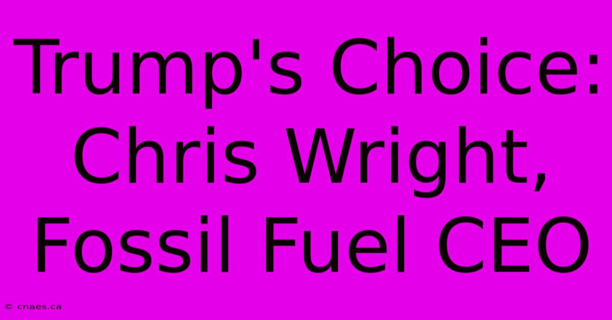 Trump's Choice: Chris Wright, Fossil Fuel CEO