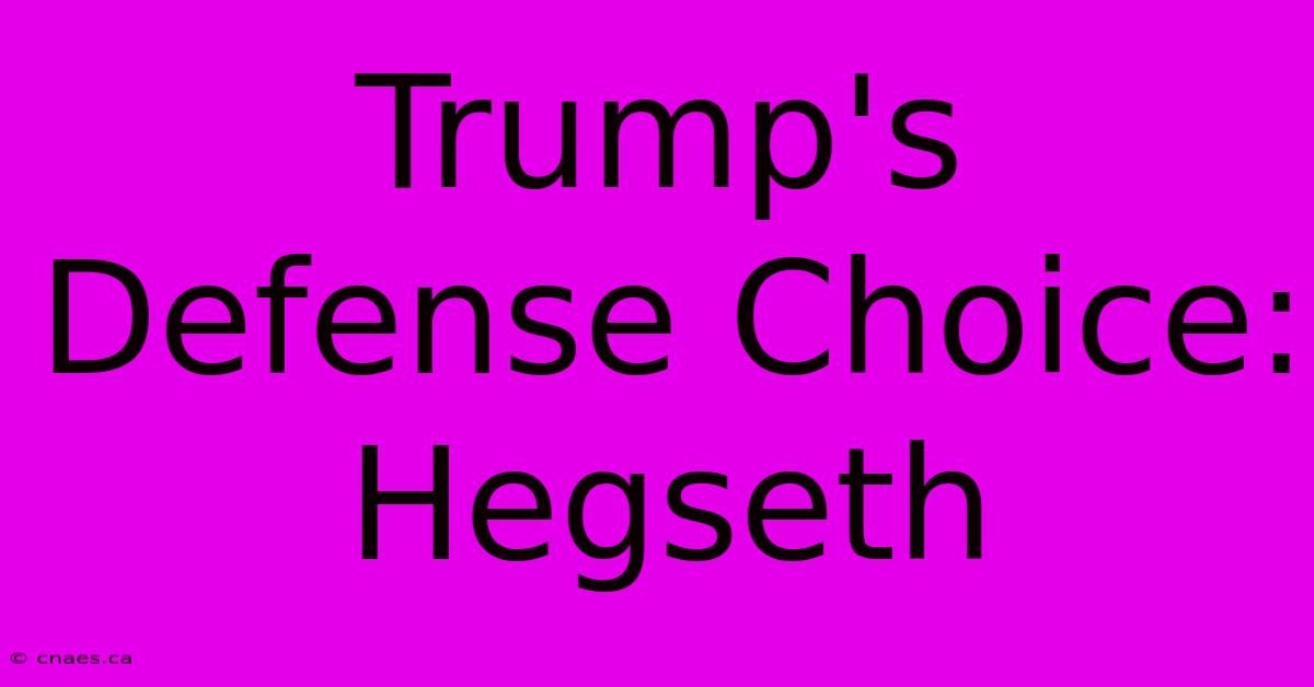 Trump's Defense Choice: Hegseth 