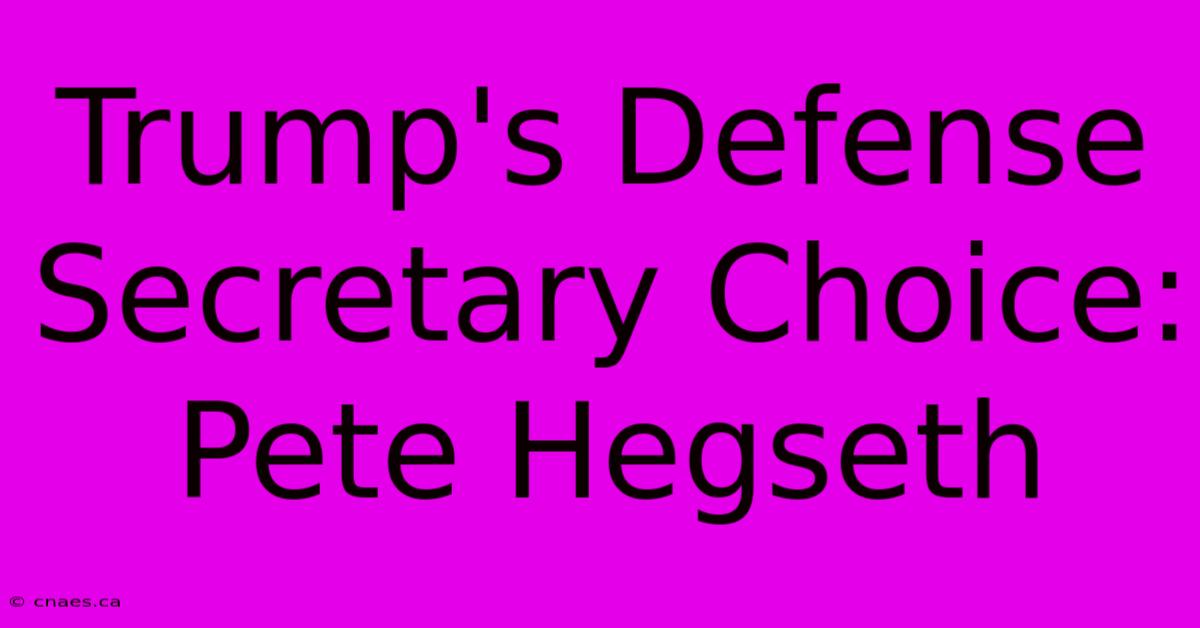 Trump's Defense Secretary Choice: Pete Hegseth 