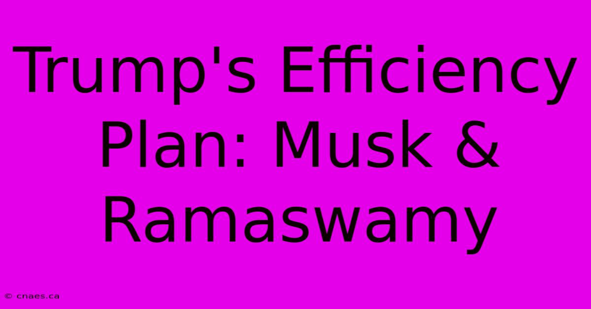 Trump's Efficiency Plan: Musk & Ramaswamy 