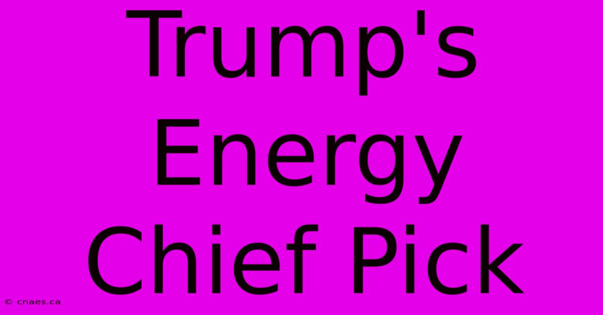 Trump's Energy Chief Pick