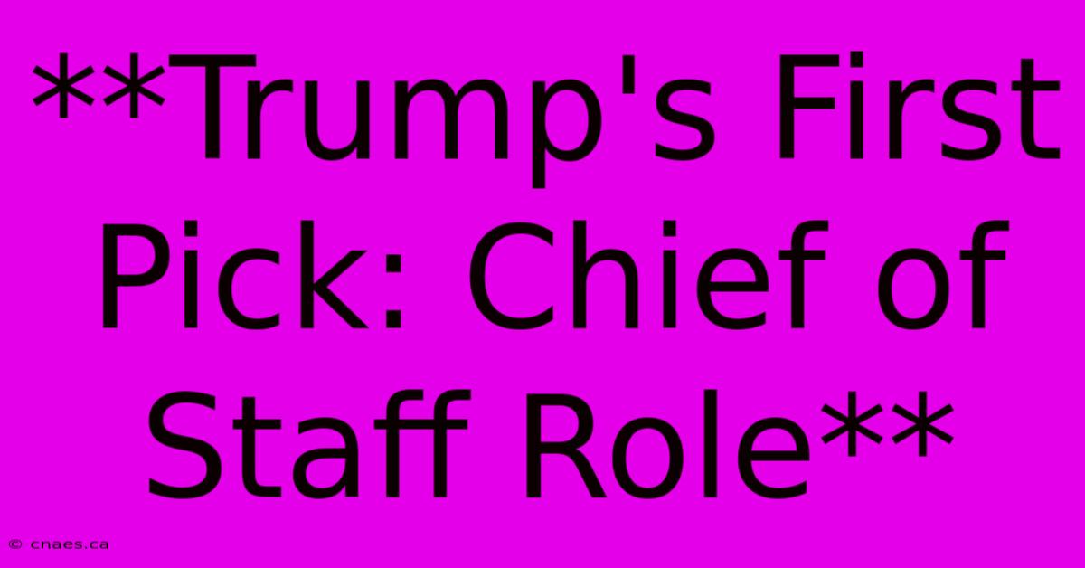 **Trump's First Pick: Chief Of Staff Role**