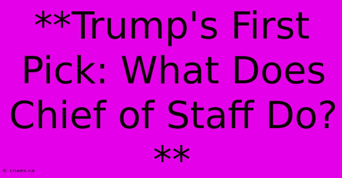 **Trump's First Pick: What Does Chief Of Staff Do?**