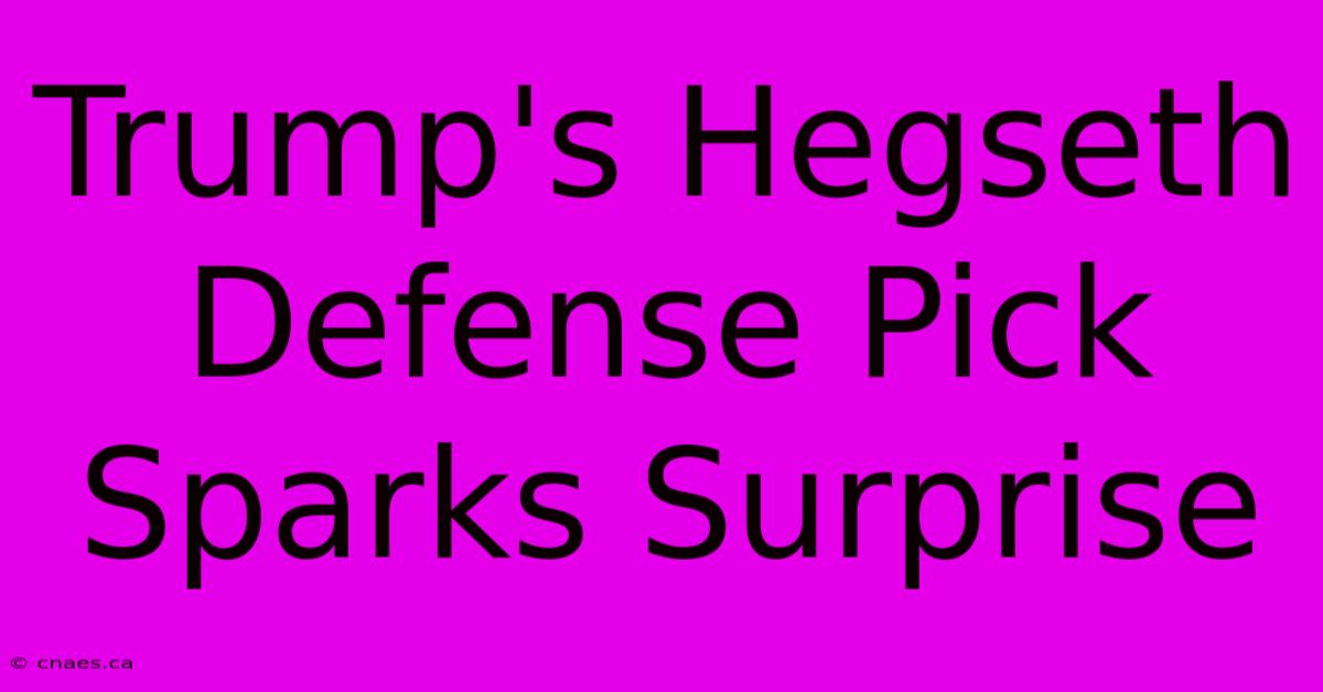 Trump's Hegseth Defense Pick Sparks Surprise