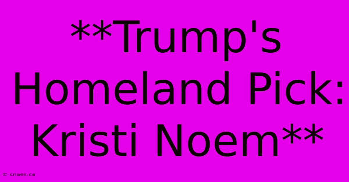 **Trump's Homeland Pick: Kristi Noem** 