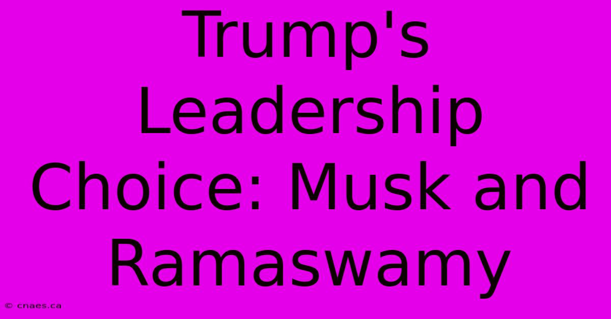 Trump's Leadership Choice: Musk And Ramaswamy