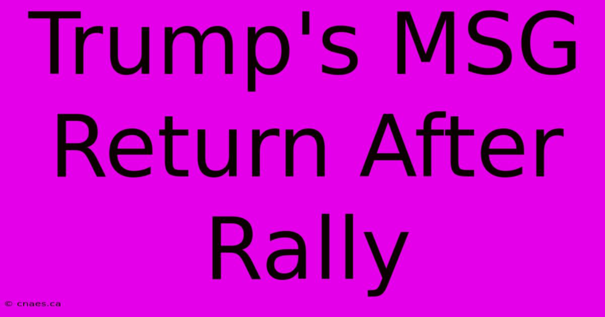 Trump's MSG Return After Rally