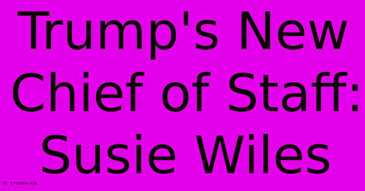 Trump's New Chief Of Staff: Susie Wiles 