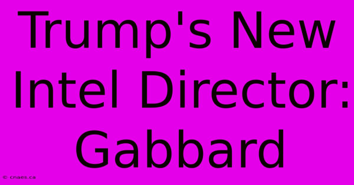 Trump's New Intel Director: Gabbard