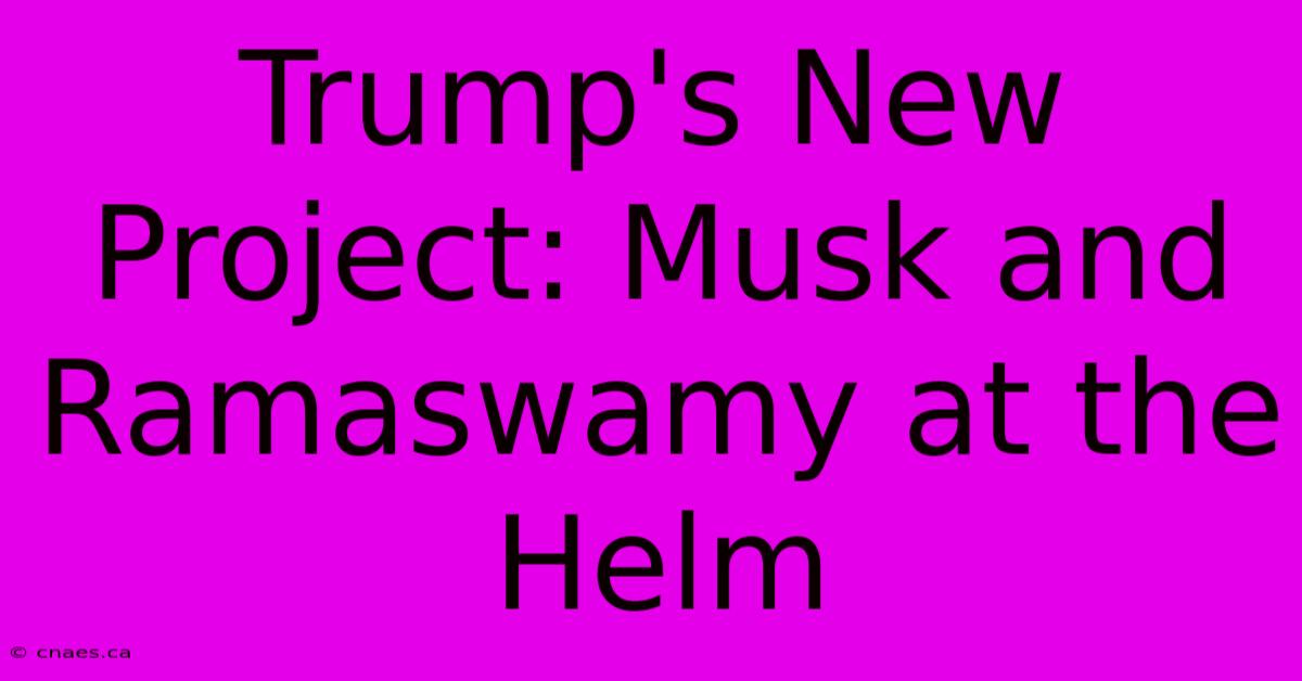 Trump's New Project: Musk And Ramaswamy At The Helm