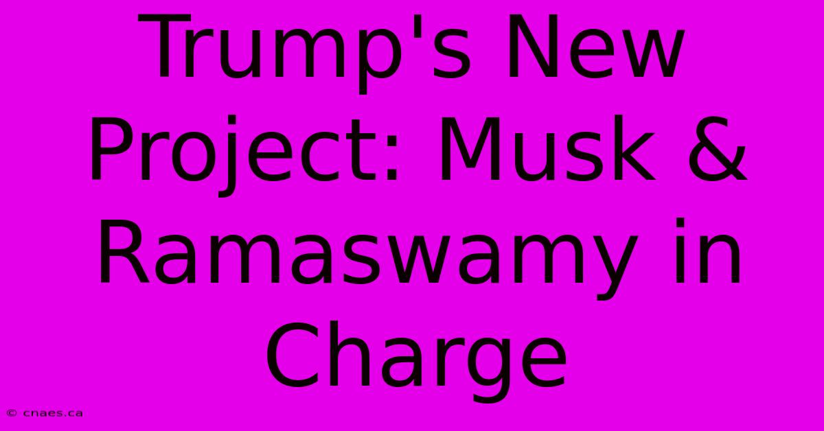 Trump's New Project: Musk & Ramaswamy In Charge