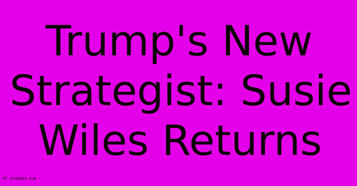 Trump's New Strategist: Susie Wiles Returns