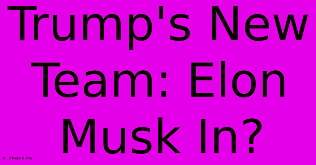 Trump's New Team: Elon Musk In?