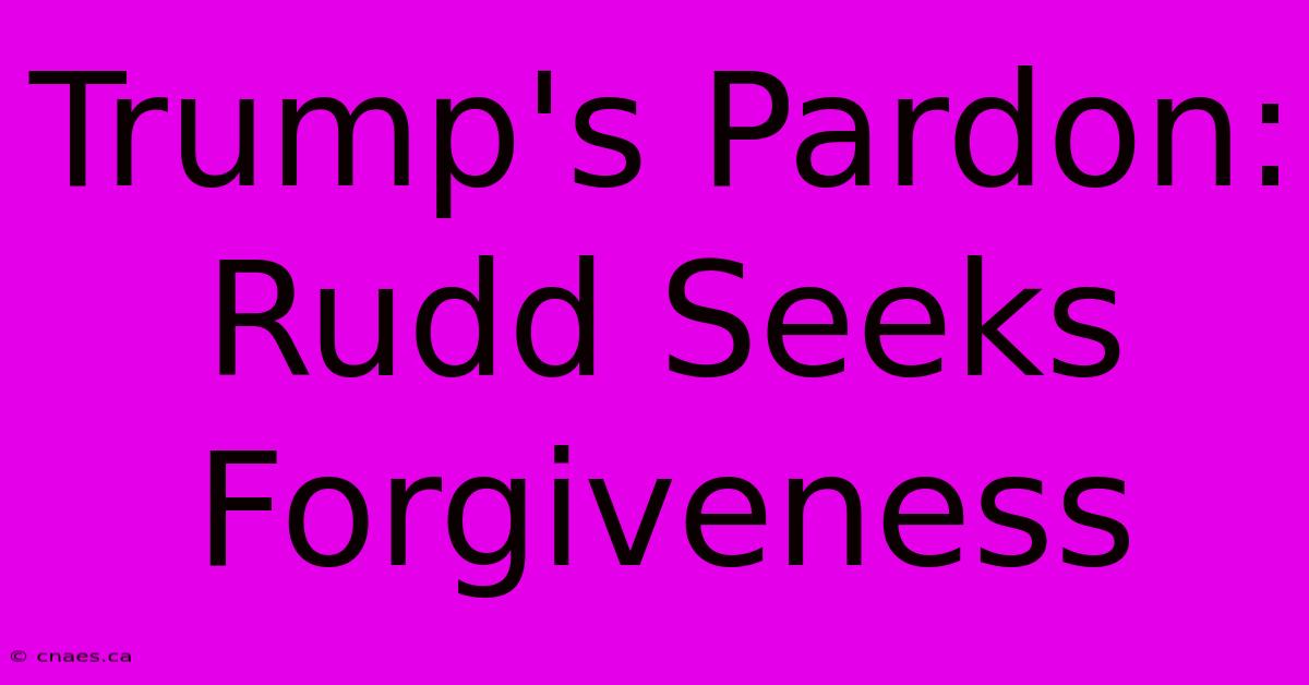 Trump's Pardon: Rudd Seeks Forgiveness