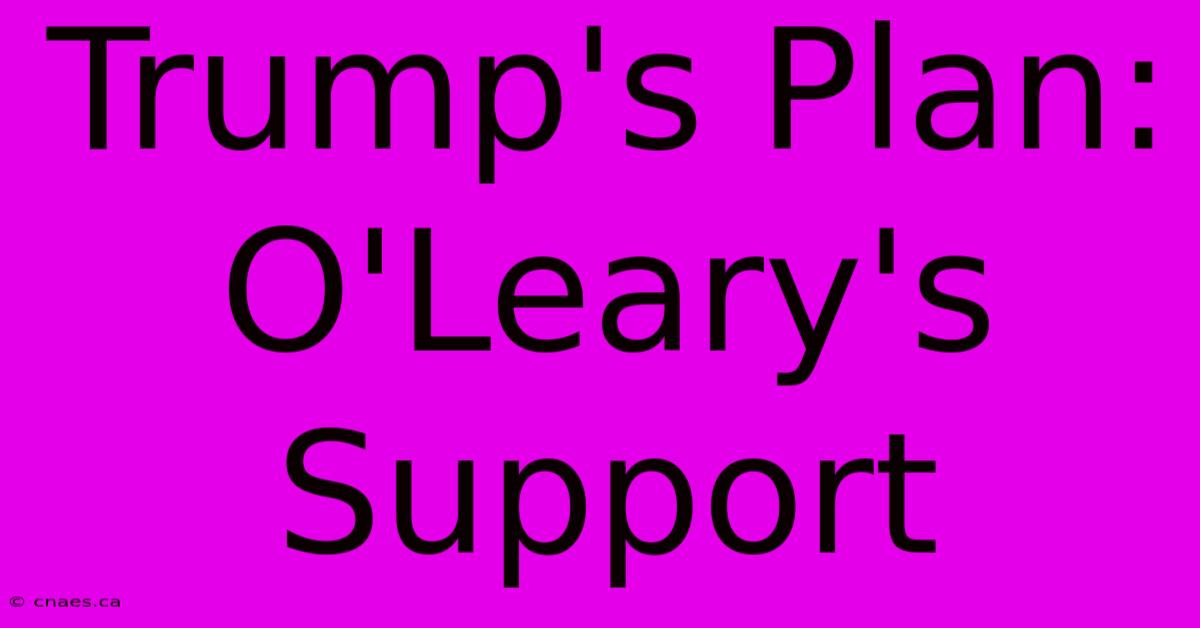 Trump's Plan: O'Leary's Support