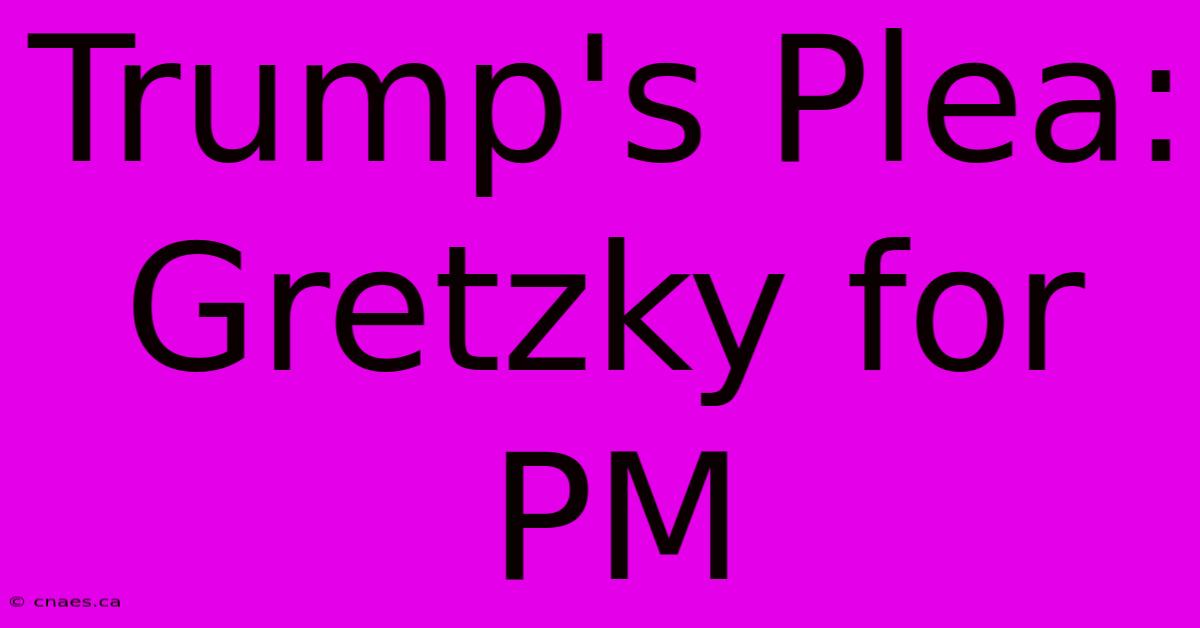 Trump's Plea: Gretzky For PM