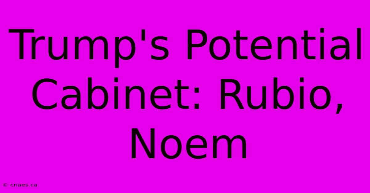 Trump's Potential Cabinet: Rubio, Noem