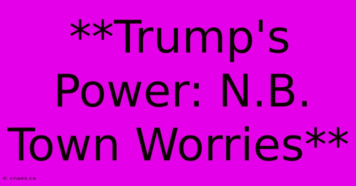 **Trump's Power: N.B. Town Worries** 