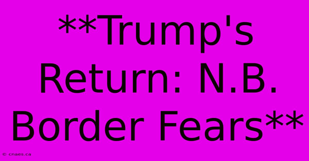 **Trump's Return: N.B. Border Fears**