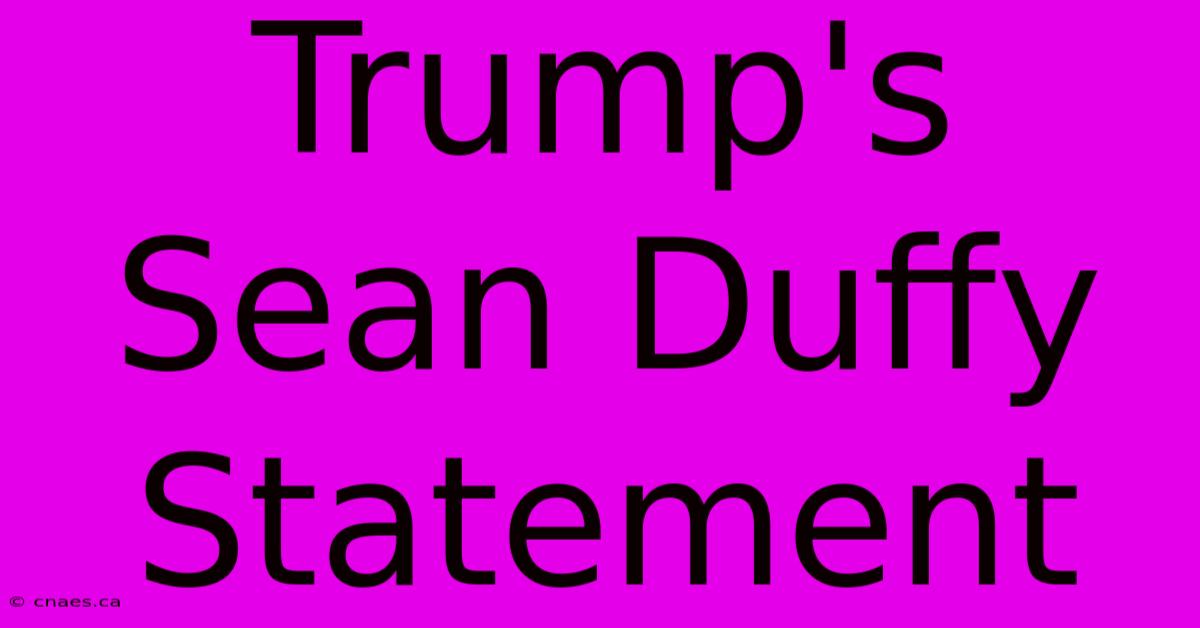 Trump's Sean Duffy Statement