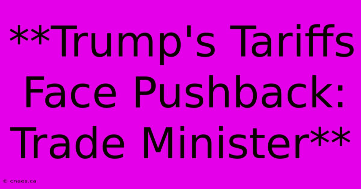 **Trump's Tariffs Face Pushback: Trade Minister**