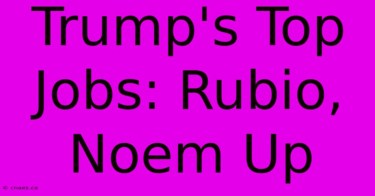 Trump's Top Jobs: Rubio, Noem Up