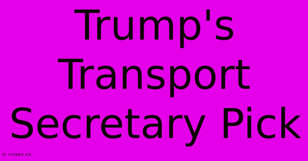 Trump's Transport Secretary Pick