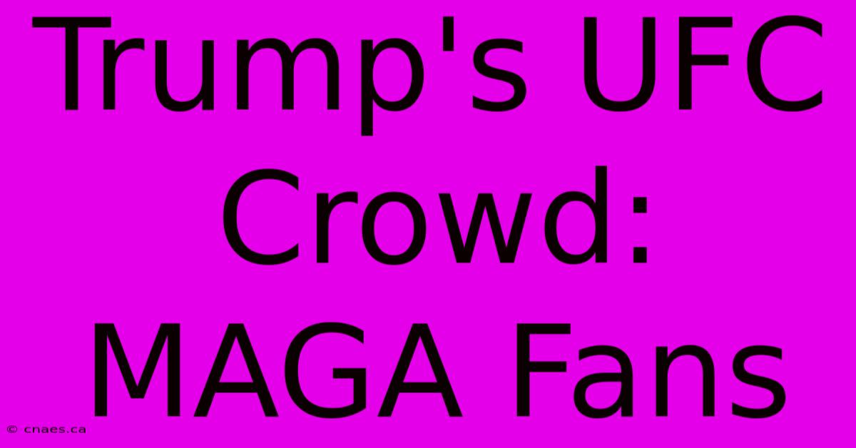 Trump's UFC Crowd: MAGA Fans